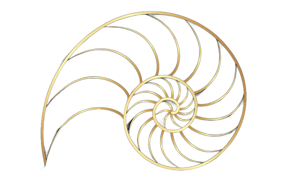 Sacred geometry gold shell spiral
